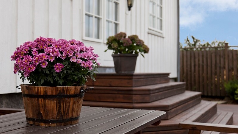 kom-i-gang-med-tjaeralin-terrassebeis