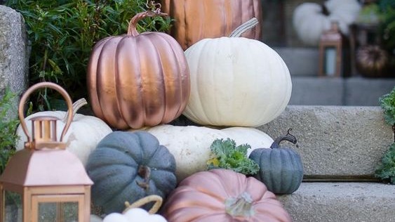 stilige-halloween-gresskar-du-enkelt-lager-selv