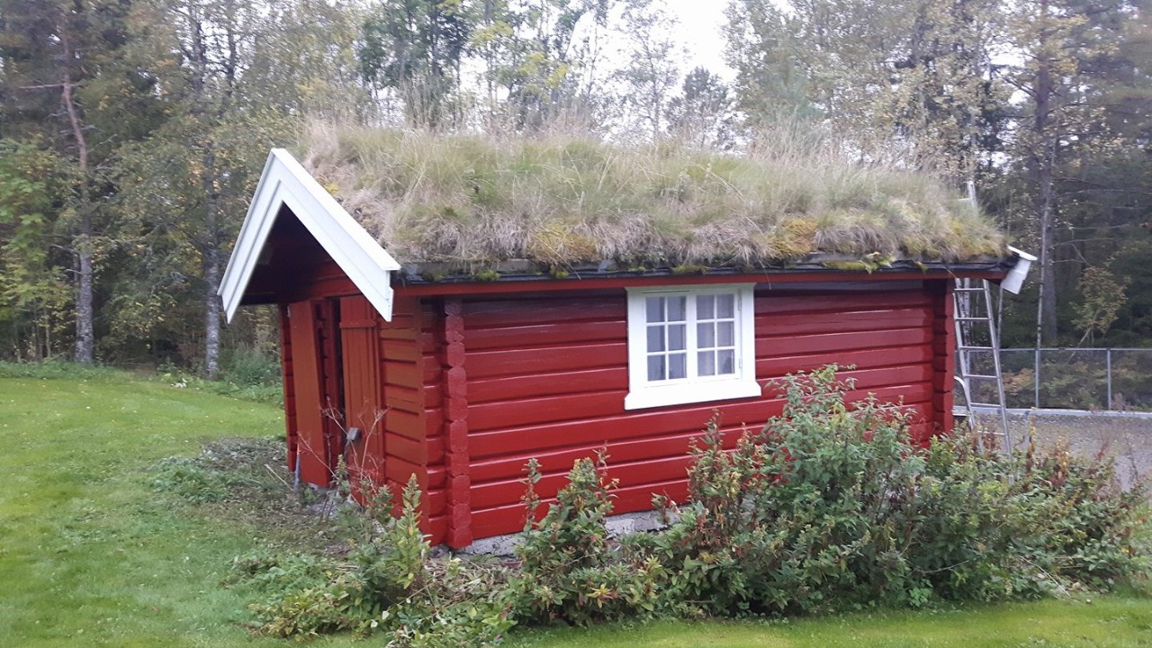 ma-du-male-huset-i-ar