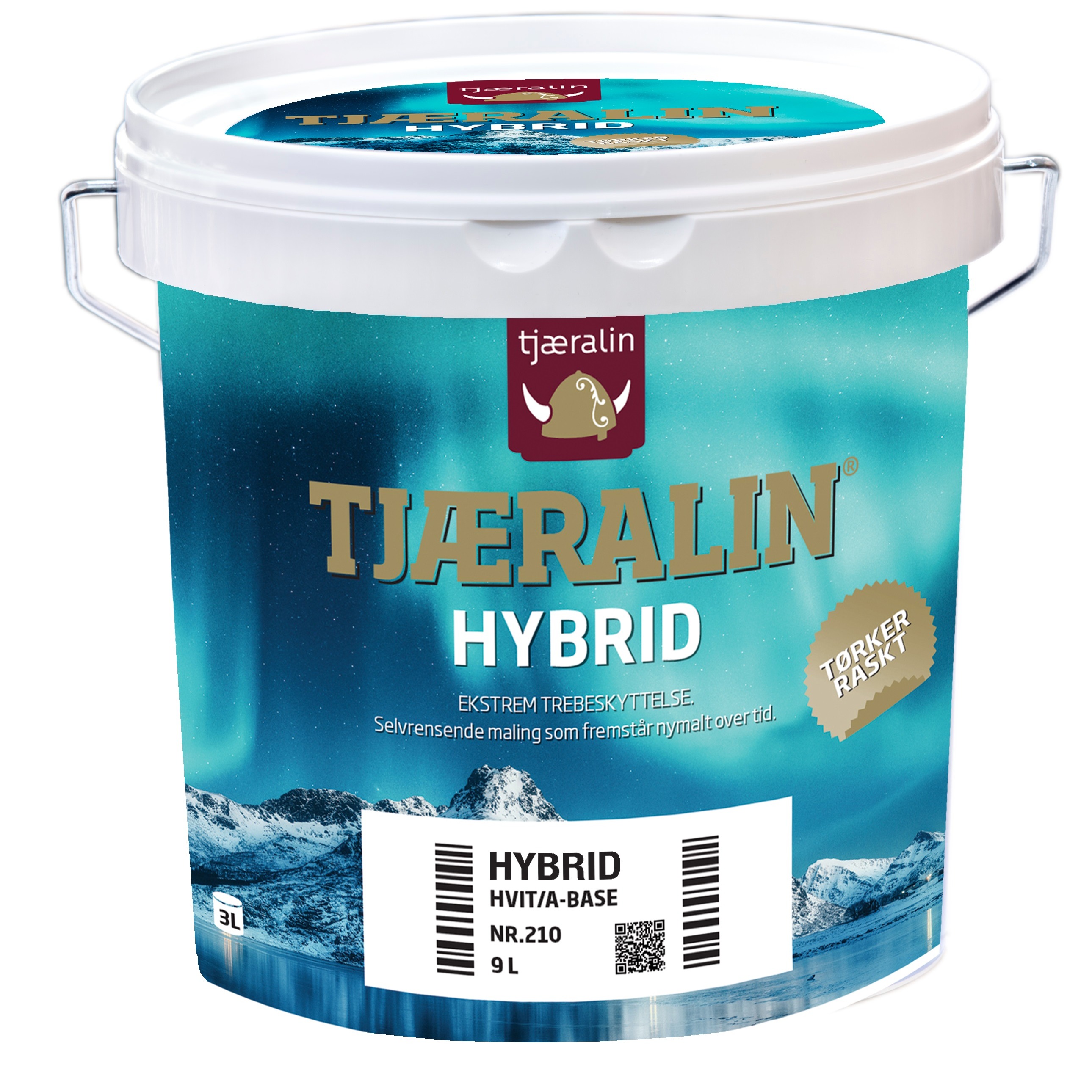 24-11-2021_Hybrid.jpg